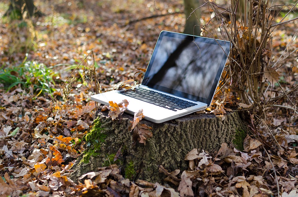 laptop on tree stump